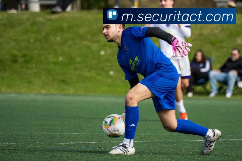 App Interface Preview